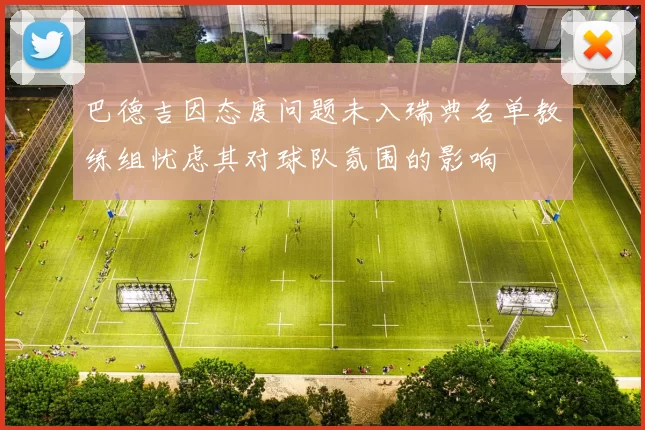 巴德吉因态度问题未入瑞典名单教练组忧虑其对球队氛围的影响
