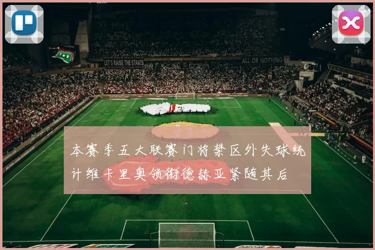 本赛季五大联赛门将禁区外失球统计维卡里奥领衔德赫亚紧随其后